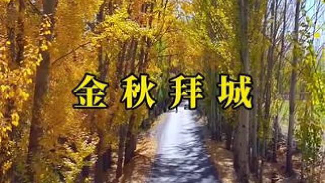 在南疆拜城，我见到了秋天最美的样子。#旅行 #新疆 #给秋天点颜色看看 #最适合秋天的歌找到了 #治