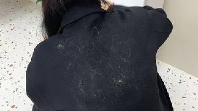 神奇的粘毛器!不仅能轻松清理头发和猫猫狗狗掉落的毛发，水一冲就干净能继续用了 #粘毛神器  #养猫人