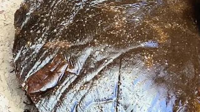 认识这个美食的年龄应该也不小了吧#童年味道 #儿时回忆