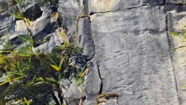 #每一帧都是热爱 #天然治愈之旅 #旅行推荐官 #我的旅行日记 #身体和灵魂总有一个在路上