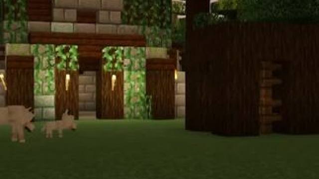 #我的世界 #Minecraft