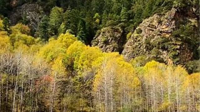 爱这世间，草木皆书。爱这岁月，素净如湖。最美的风景在路上，感恩大自然的馈赠#美在山水间  #深秋时节