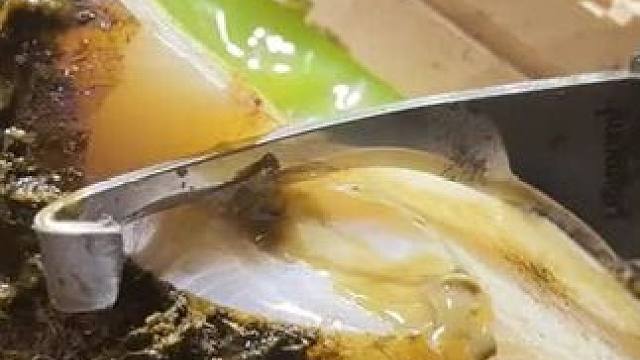 新鲜的修蹄手法搭配爆浆牛蹄#解压 #修牛蹄