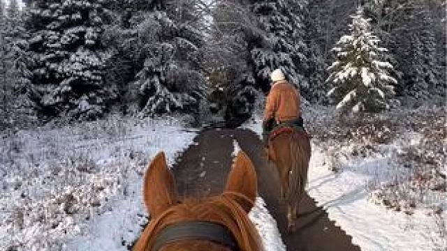 凛冬将至，阿勒泰#旅行推荐官 #我的阿勒泰 #禾木村