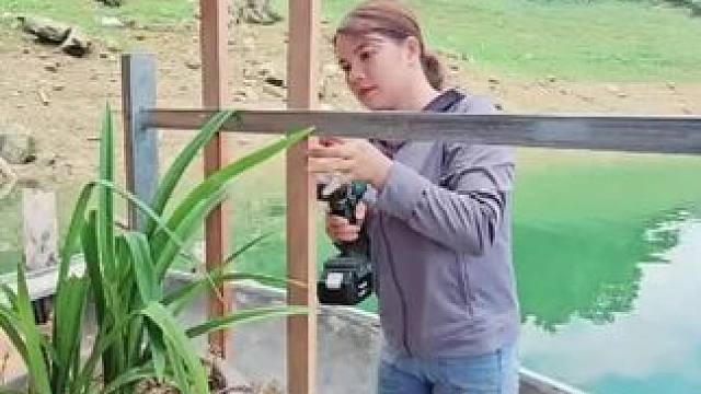 加装围栏 #荒野建造 #我的乡村生活 #美女