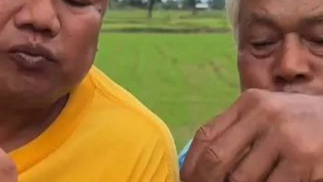 泰国美食 老丈人吃牛鞭#哎呀妈呀太香了 #干净又卫生 #大口吃肉的感觉太爽了