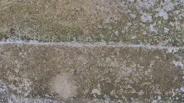 楼梯滚瓶子爆破解压时刻