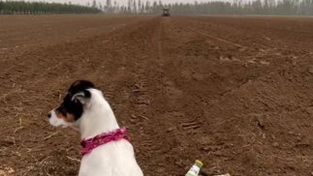 俺妈叫我送饭 到地里我饿了 #田间地头 #乡愁记忆 #农村生活