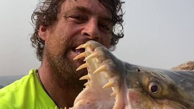 这鱼哪个钓友看了不羡慕~