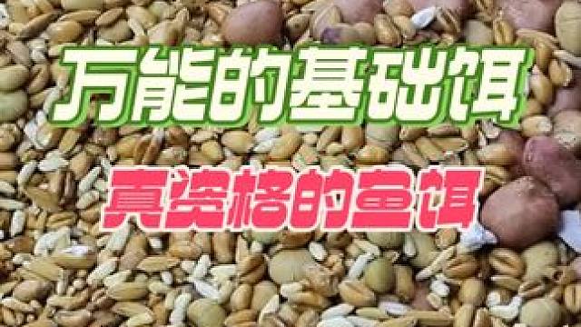 万能基础鱼饵，可以和任何鱼饵搭配使用 自己做的鱼饵才是资格的鱼饵#鱼饵制作 #自制饵料 #爆护饵料 