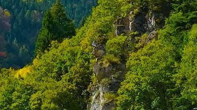 我发布了一个新视频，快来围观吧！