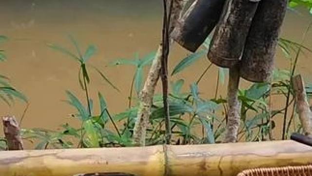 东南亚原始美味 #我的乡村生活 #原始美味 #农村美食 #农村生活