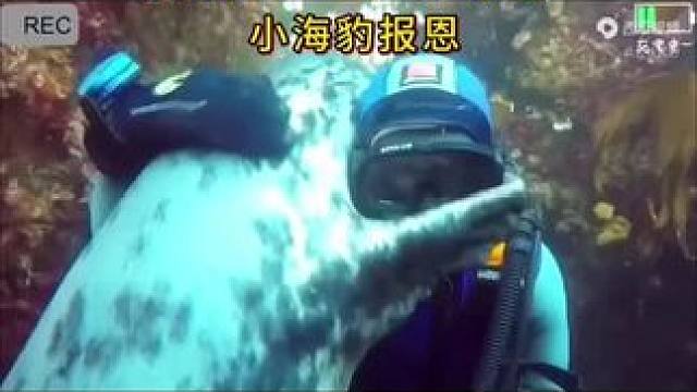 #探索大海深处的秘密