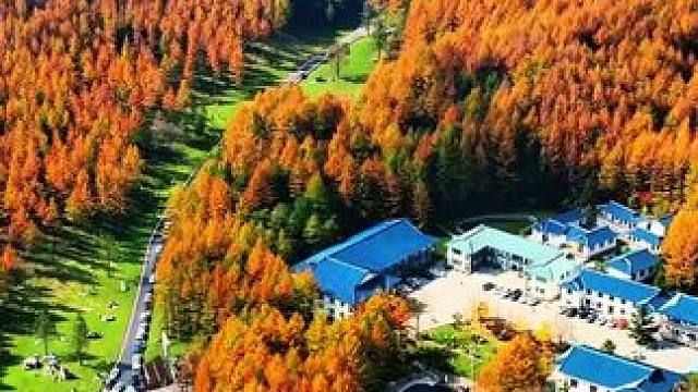 最近大家都在关注的红叶已经开始了，你准备好了吗？#打卡秋天里的美丽中国 #一帧中国·大美广元#致广元