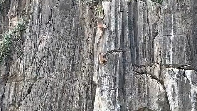 这才是真正的高手——飞檐走壁