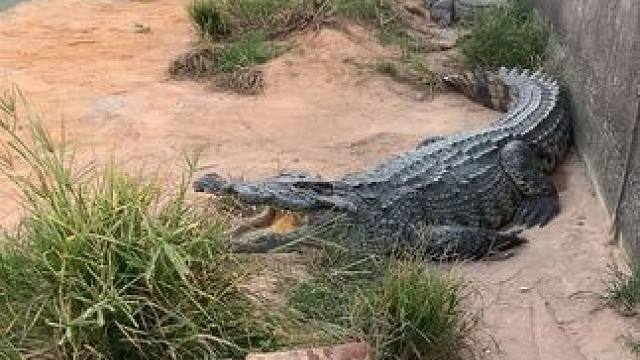 全长200米我只跑了199米，多一米我都不跑，因为那是我的底线#危险动作请勿模仿