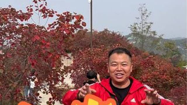 长寿山 #河南刚哥#长寿山#给秋天点颜色看看 #