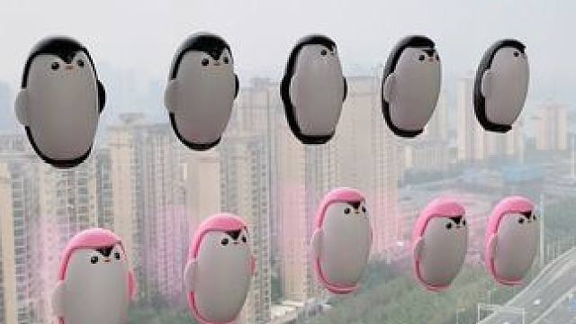 神奇的粘毛器!不仅能轻松清理头发和猫猫狗狗掉落的毛发，水一冲就干净能继续用了 #粘毛神器  #养猫人