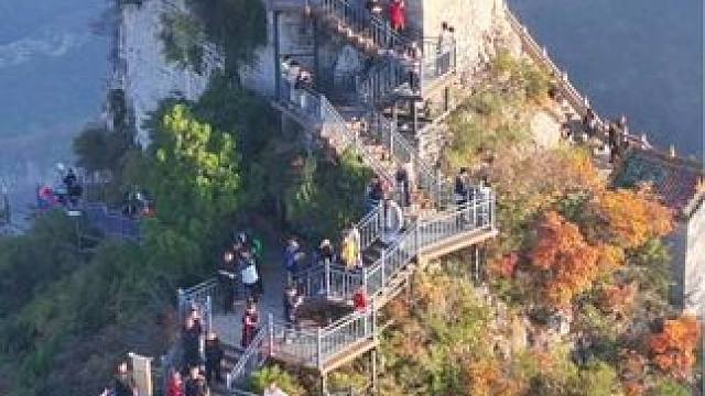 如果秋天有颜色，那一定柏尖山的红叶，没有门票没有停车费，自驾车可直接到达。直接导航林州柏尖山。#又到