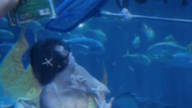 丸辣#搞笑 #美人鱼 #看一遍笑一遍