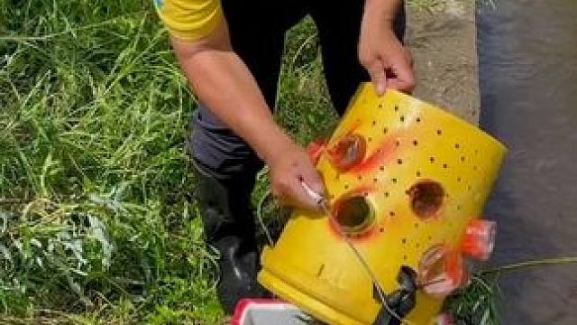 #户外捕鱼 #好多鱼