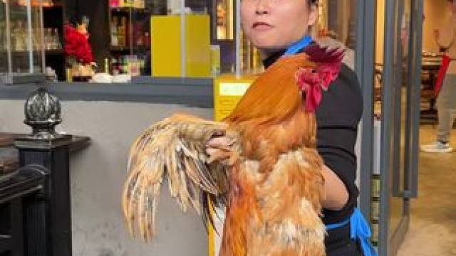 花卉园好吃的柴火鸡，价格还不贵 #柴火鸡