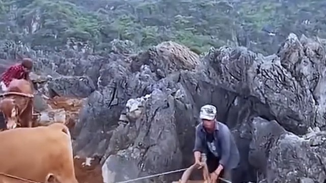 石漠化非常严重