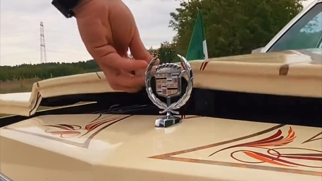 这个车我见汤姆猫开过