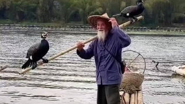 #山青水秀好风光游山逛水看风景 #就想在桂林看山山水水 #漓江渔翁