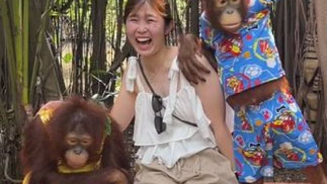 泰国网红猩猩与游客合影 #国外视频分享 #猴子成精 #泰国网红猩猩