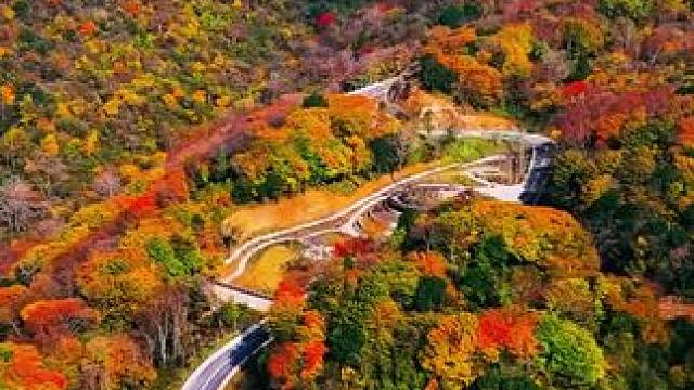 光头山十月金秋美如画，离不开如今交通的发达。#给秋天点颜色看看 #一帧中国·大美广元#看身边变化讲广