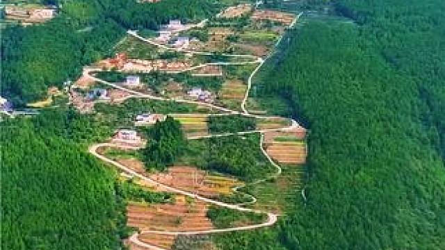 如今发达的物流再不会让大茅坡的茶在深山无人知#致广元·物流经济新图景#一帧中国·大美广元#看身边变化