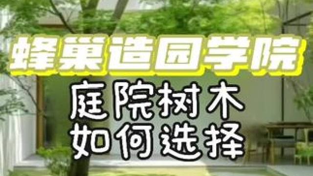 庭院树木如何选择？ #天然治愈之旅 #造园 #蜂巢造园