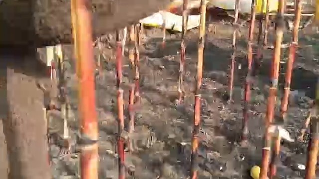 视觉好，一个也丢不了[捂脸]