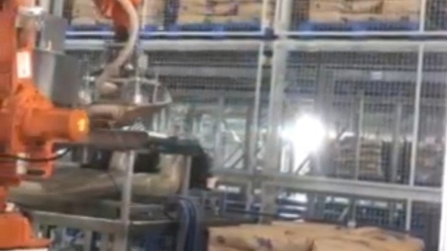 拆垛机械手输送分流#自动化设备 #机械设备 #码垛机器人 #拆垛机器人 @饲料@建材