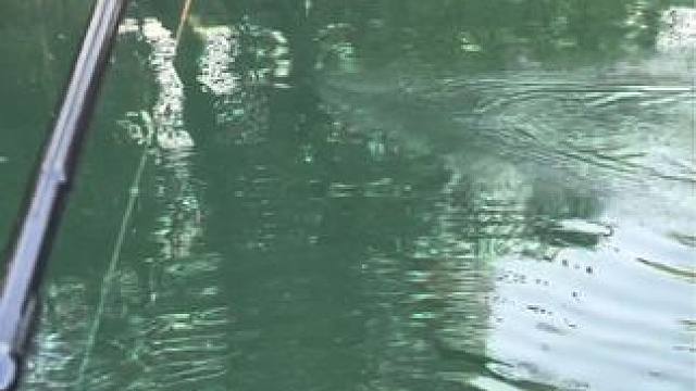 #钓鱼的乐趣只有钓鱼人懂 #巨物