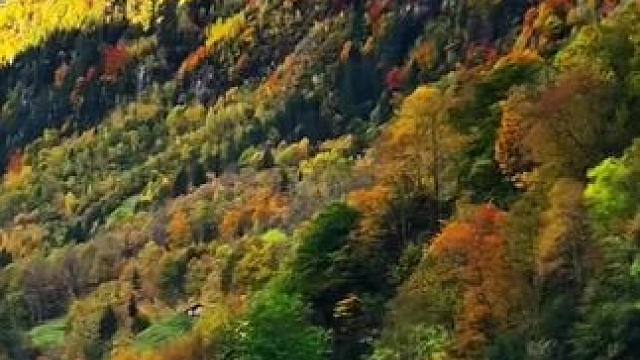 更好的风景永远在路上 #风景都在路上 #沿途风景随拍 #旅行