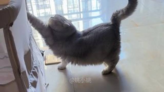 在家就能看阿蛋走秀～逗死我了哈哈哈 