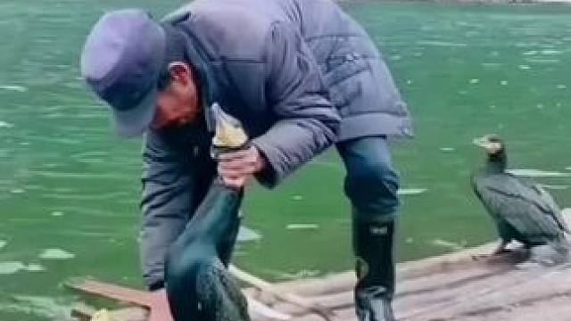 #山青水秀好风光游山逛水看风景 #就想在桂林看山山水水 #旅行推荐官