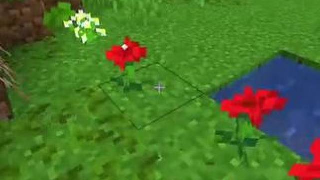 #我的世界 #Minecraft