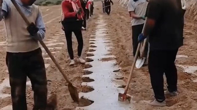 手法熟练，专业[赞]