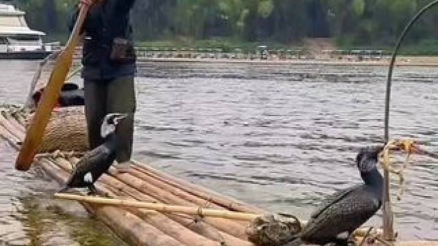 #山青水秀好风光游山逛水看风景 #就想在桂林看山山水水 #旅行推荐官