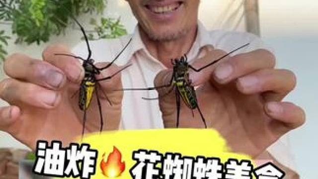 云南特色美食 这油炸花蜘蛛 #美食 #记录我的农村生活 #油炸花蜘蛛   #大山里的美味 #特色美食