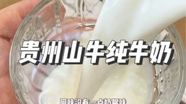 来自贵州的纯牛奶一箱16盒蛋白质和钙含量都很优秀，口感就像融化了的淡奶油#纯牛奶 #牛奶推荐 #口感