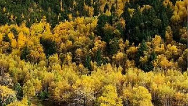 爱这世间，草木皆书。爱这岁月，素净如湖#深秋时节的诗情画意 #爱在山水间 感受世界的美好爱这世间，草