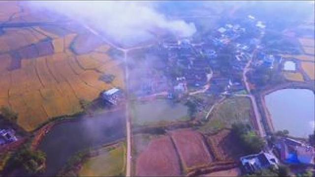 #美丽乡村 #云雾缭绕