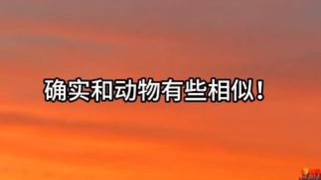 这段真的又可爱又搞笑！ #溺酒 #配音#广播剧 #推文 #搞笑