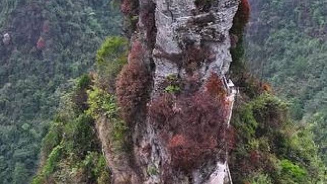 且停且忘且随风，且行且看且从容，岁月欢喜一步步，成就人间与朝暮。