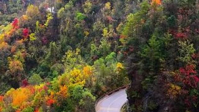 又到了一年一度赏秋景的时间了