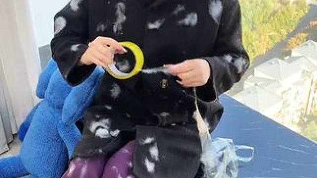 神奇的粘毛器!不仅能轻松清理头发和猫猫狗狗掉落的毛发，水一冲就干净能继续用了 #粘毛神器  #养猫人